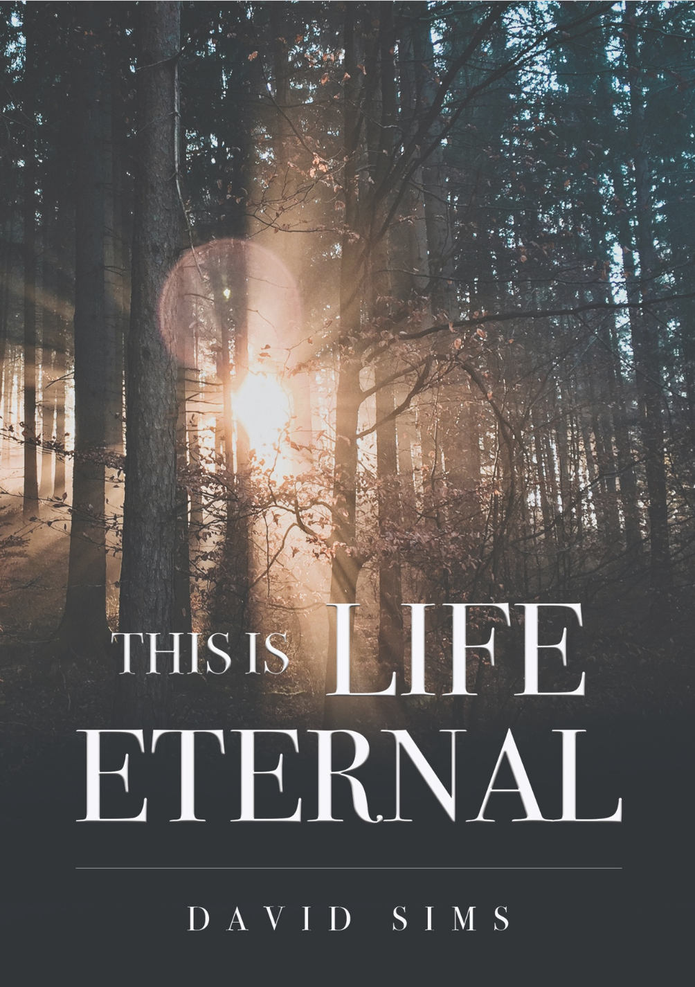 Original Sin and the Triune Atonement